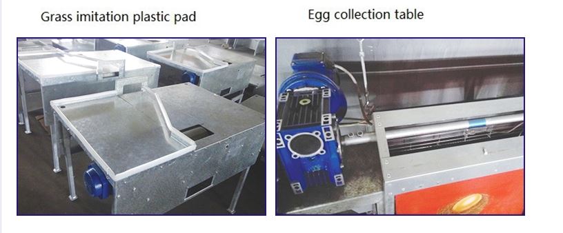 egg nest 03
