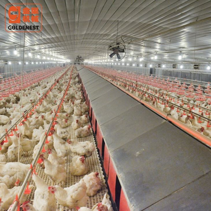 Automatic Egg Nest Collection System Chicken Layer Nest House Box